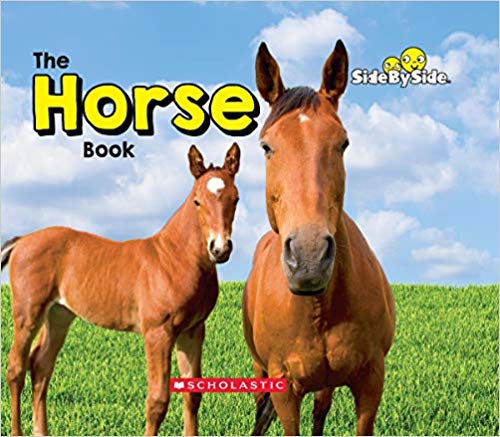 The Horse Book