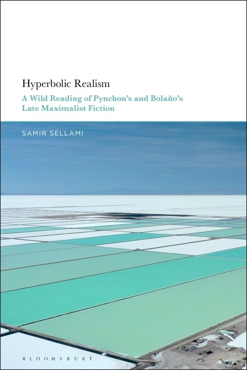 Hyperbolic Realism: A Wild Reading of Pynchon's and Bola?'s Late Maximalist Fiction (Hardcover)
