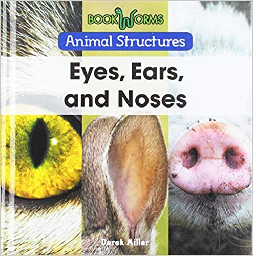 Eyes, Ears, and Noses
