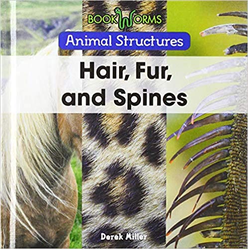 Hair, Fur, and Spines