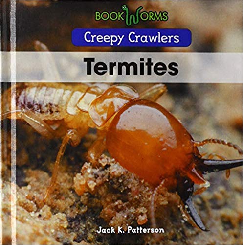 Termites