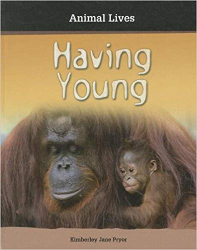 Having Young