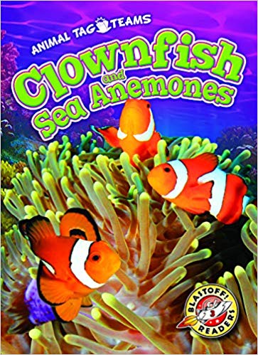 Clownfish and Sea Anemones