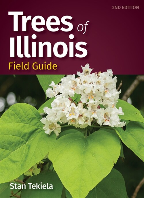 Trees of Illinois Field Guide (Paperback, Revised)