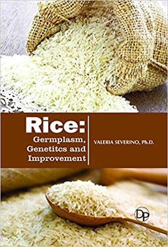 Rice - Germplasm, Genetics and Improvement