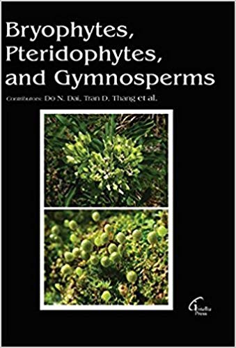 Bryophytes, Pteridophytes, and Gymnosperms