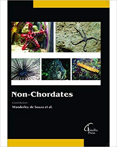 Non-Chordates