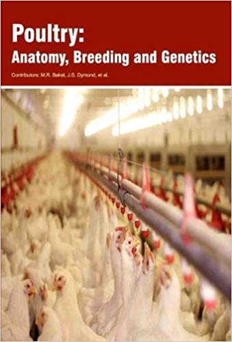 Poultry:  Anatomy, Breeding and Genetics