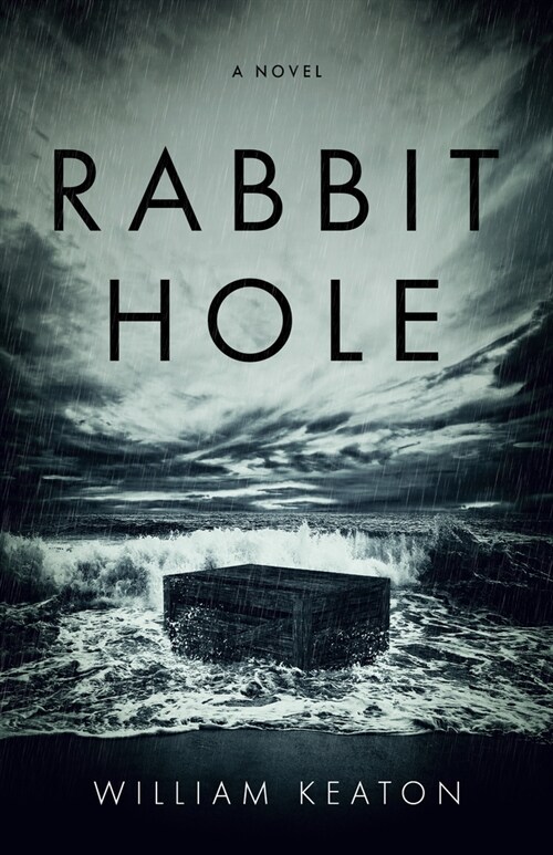 Rabbit Hole (Paperback)