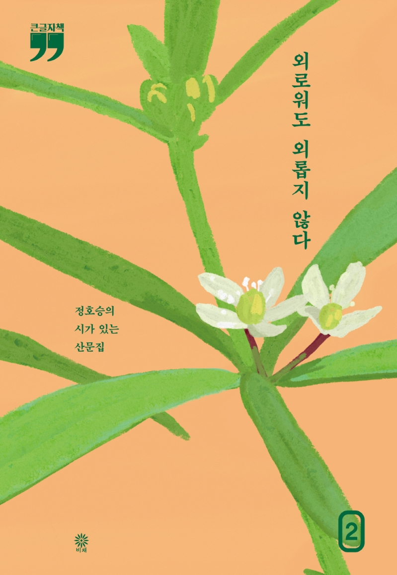 외로워도 외롭지 않다 2 (큰글자책)