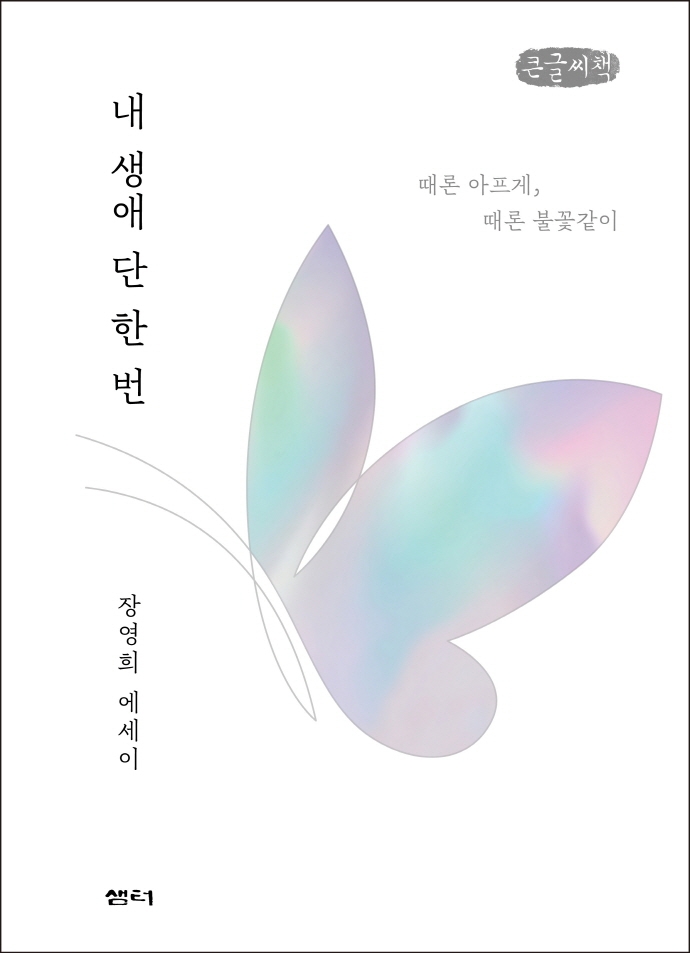 내 생애 단 한번 (큰글씨책)
