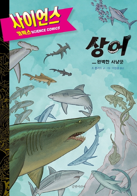 상어: 완벽한 사냥꾼