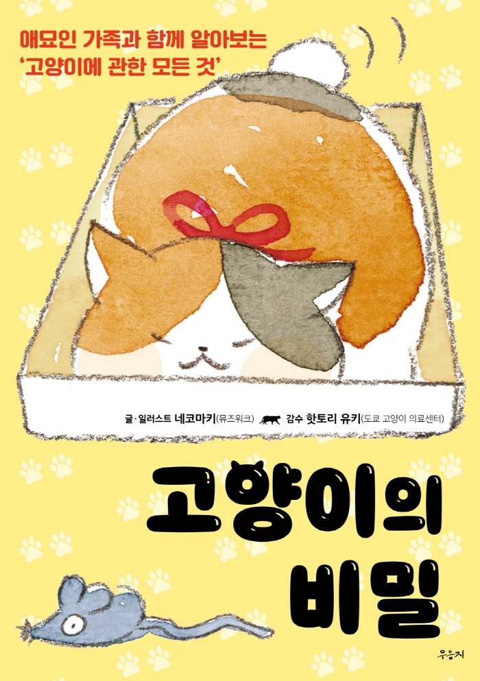 고양이의 비밀