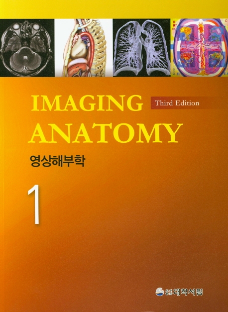 영상해부학 1