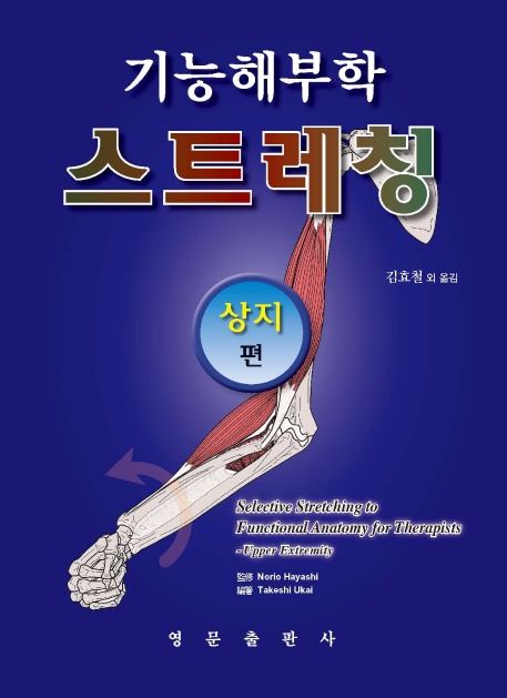 기능해부학 스트레칭 상지편
