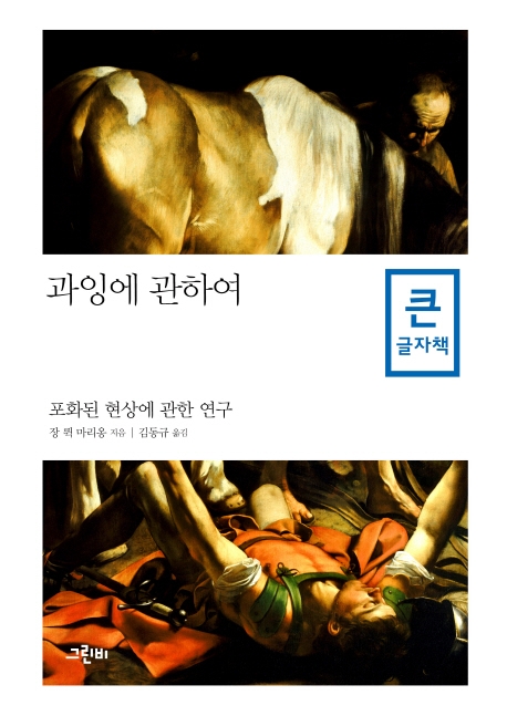 (큰글자책) 과잉에 관하여