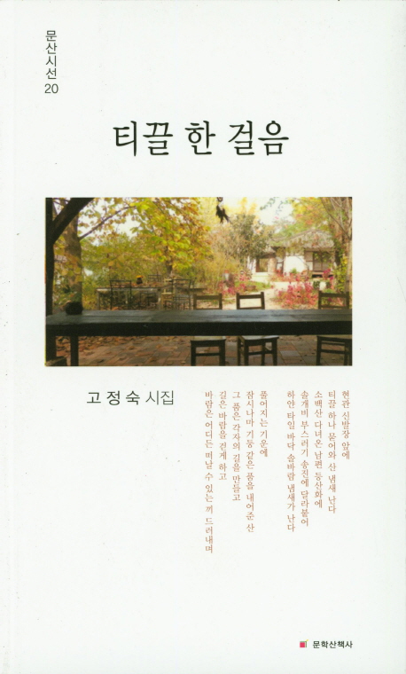 티끌 한 걸음