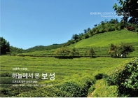 하늘에서 본 보성