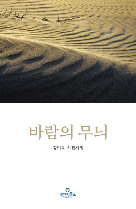 바람의 무늬