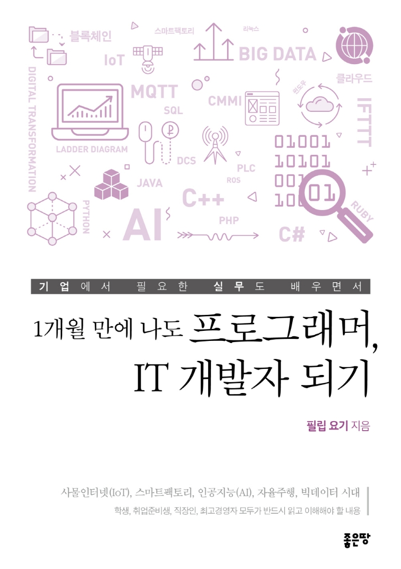1개월 만에 나도 프로그래머, IT 개발자 되기
