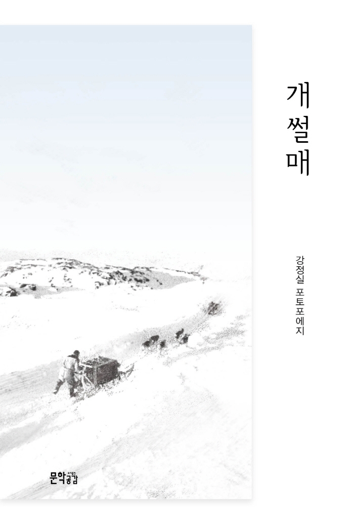 개썰매
