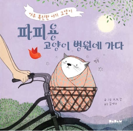 아주 폭신한 아기 고양이 파피용 고양이 병원에 가다