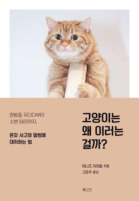 고양이는 왜 이러는 걸까?