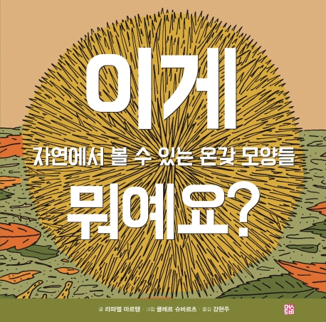 이게 뭐예요? 자연에서 볼 수 있는 온갖 모양들
