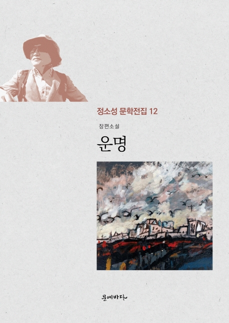 (정소성문학전집 12)운명