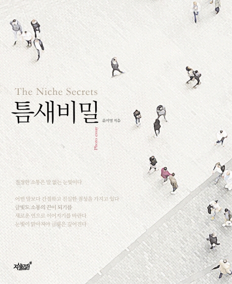 틈새비밀