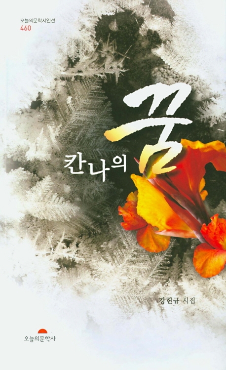 칸나의 꿈(수정보증판)