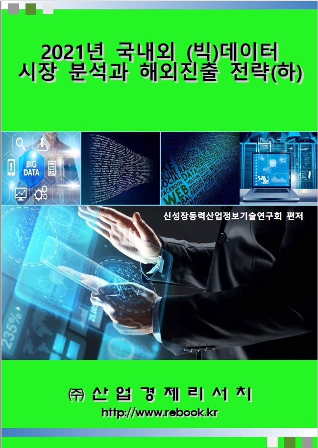 2021년 국내외 (빅)데이터 시장분석과 해외진출 전략 (하)