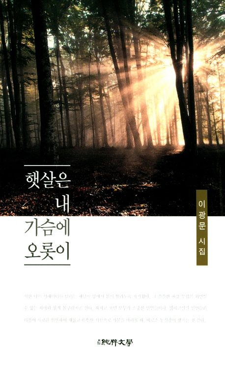 햇살은 내 가슴에 오롯이