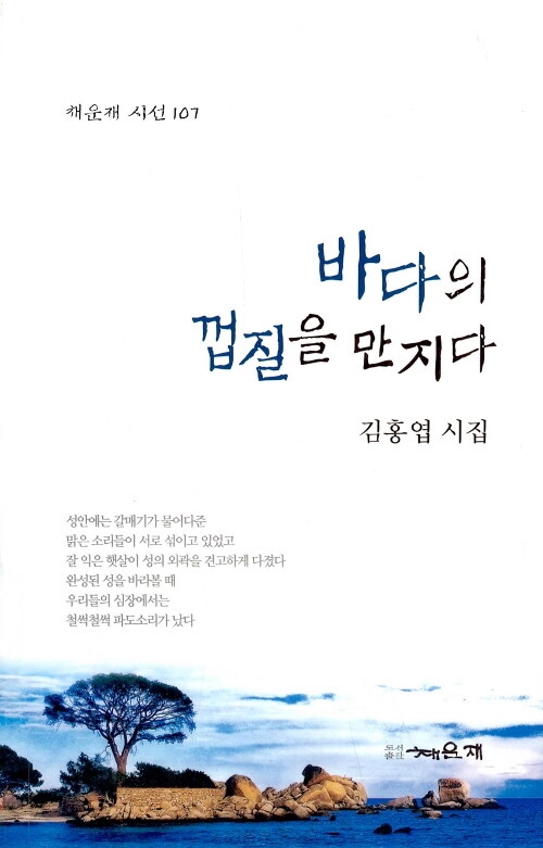바다의 껍질을 만지다
