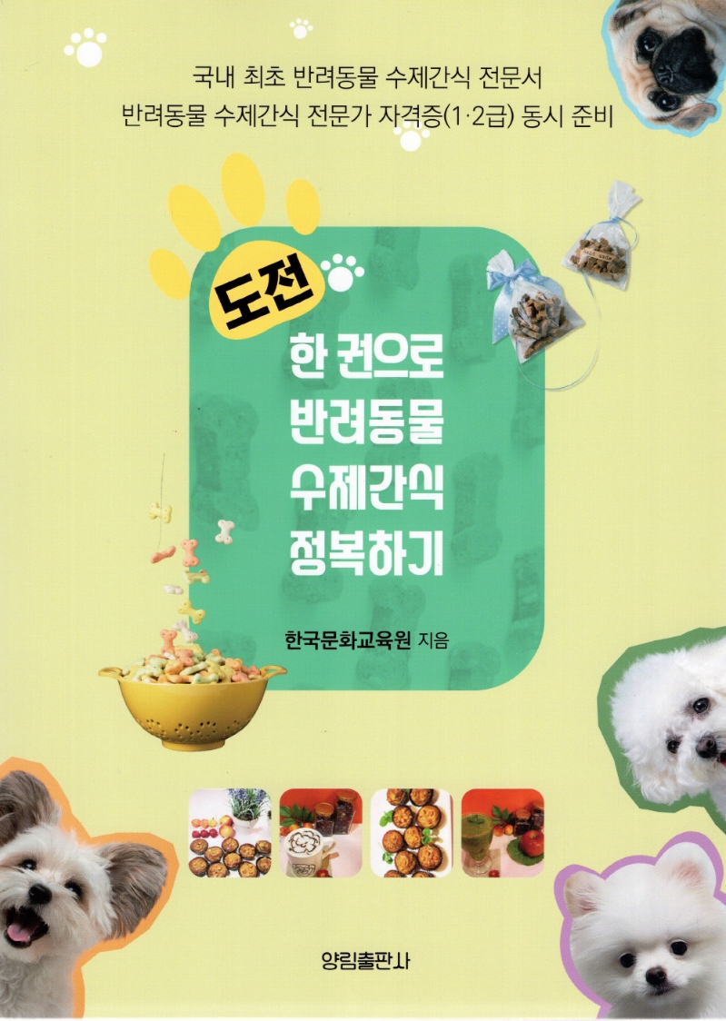 도전 한 권으로 반려동물 수제간식 정복하기