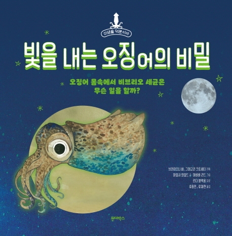빛을 내는 오징어의 비밀