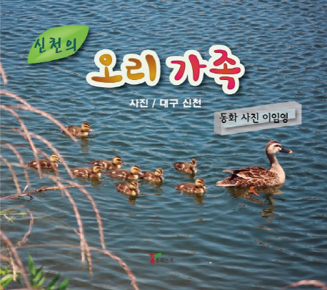 오리가족