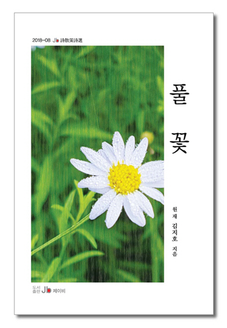 풀꽃