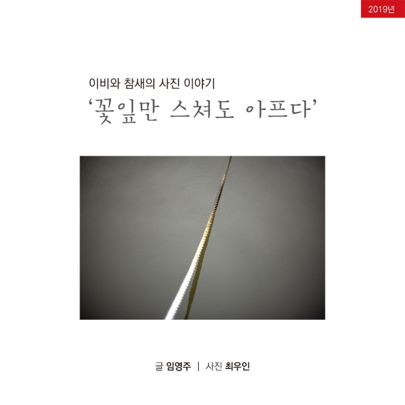 꽃잎만 스쳐도 아프다