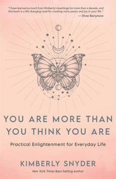 You Are More Than You Think You Are: Practical Enlightenment for Everyday Life (Paperback)