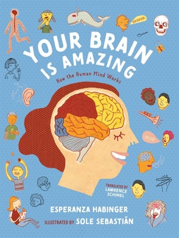 Your Brain Is Amazing: How the Human Mind Works (Hardcover)