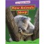 How Animals Sleep