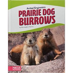 Prairie Dog Burrows