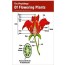 The Physiology Of Flowering Plants 