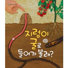 지렁이 굴로 들어가볼래? (빅북)