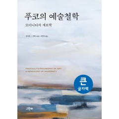 (큰글자책)푸코의 예술철학