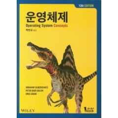 운영체제 10판